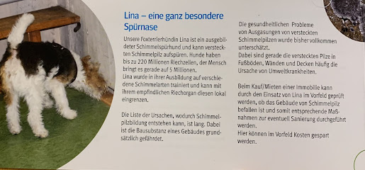 Sachverständigenbüro für Schimmelproblematik Uwe Kenter
