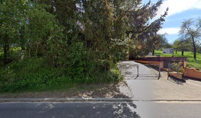 schimmelpilzgutachter.com